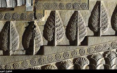 8 درخت و گیاه مقدس ایران باستان