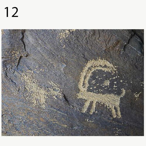 نماد بز کوهی در سنگ نگاره های تیمره