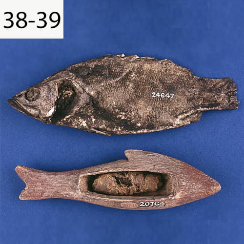 ماهی مومیایی شده یافت شده در مقبره- آخیم