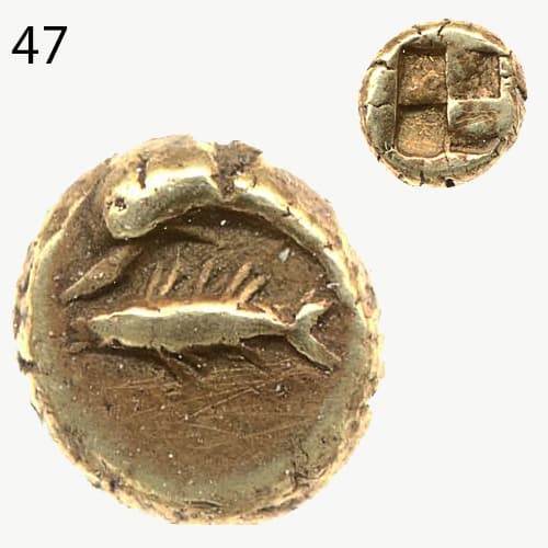 سکه با نقش ماهی- کیزکوس