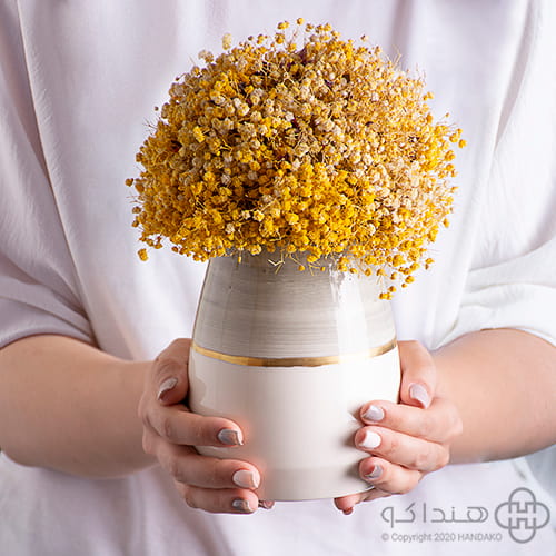 گلدان سرامیکی با گلهای ریز زرد در دستان مدل با لباس سفید